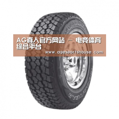 AG电子产品名称七