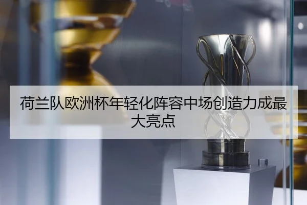 he-lan-dui-ou-zhou-bei-nian-qing-hua-zhen-rong-zhong-chang-chuang-zao-li-cheng-zui-da-liang-dian-2-550.jpg