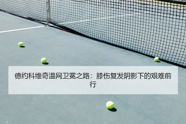 de-yue-ke-wei-qi-wen-wang-wei-mian-zhi-lu-xi-shang-fu-fa-yin-ying-xia-de-jian-nan-qian-xing-2-281.jpg