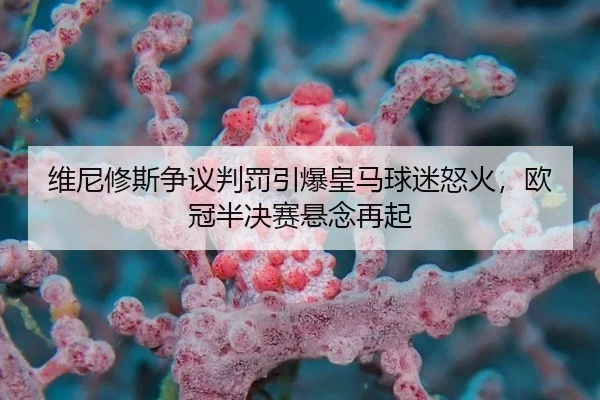 wei-ni-xiu-si-zheng-yi-pan-fa-yin-bao-huang-ma-qiu-mi-nu-huo-ou-guan-ban-jue-sai-xuan-nian-zai-qi-1-452.jpg