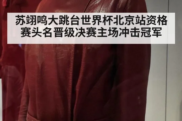 苏翊鸣大跳台世界杯北京站资格赛头名晋级决赛主场冲击冠军