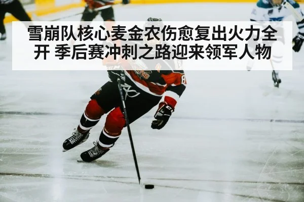 ice hockey player skating